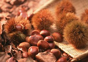 海浜幕張の大衆酒場ムロヒガシ:安くて旨い!駅近で楽しめる人気居酒屋の魅力と特徴