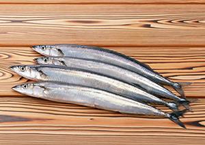 渋谷のシェイクシャックで楽しむ至福のハンバーガー体験