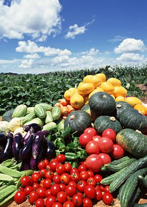 旭川の雰囲気を楽しめるスープカレーの名店【奥芝商店 旭川亭】の魅力と店舗情報