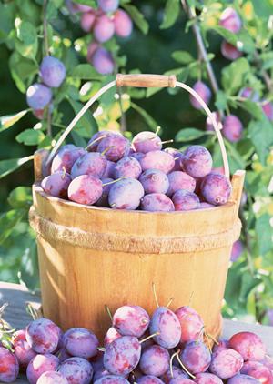 美味しいお米が自宅で味わえる通販