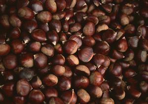 大阪のお好み焼きグループ「ぼてぢゅう」の魅力と店舗情報|伝統と革新が融合した味わいを体験しよう